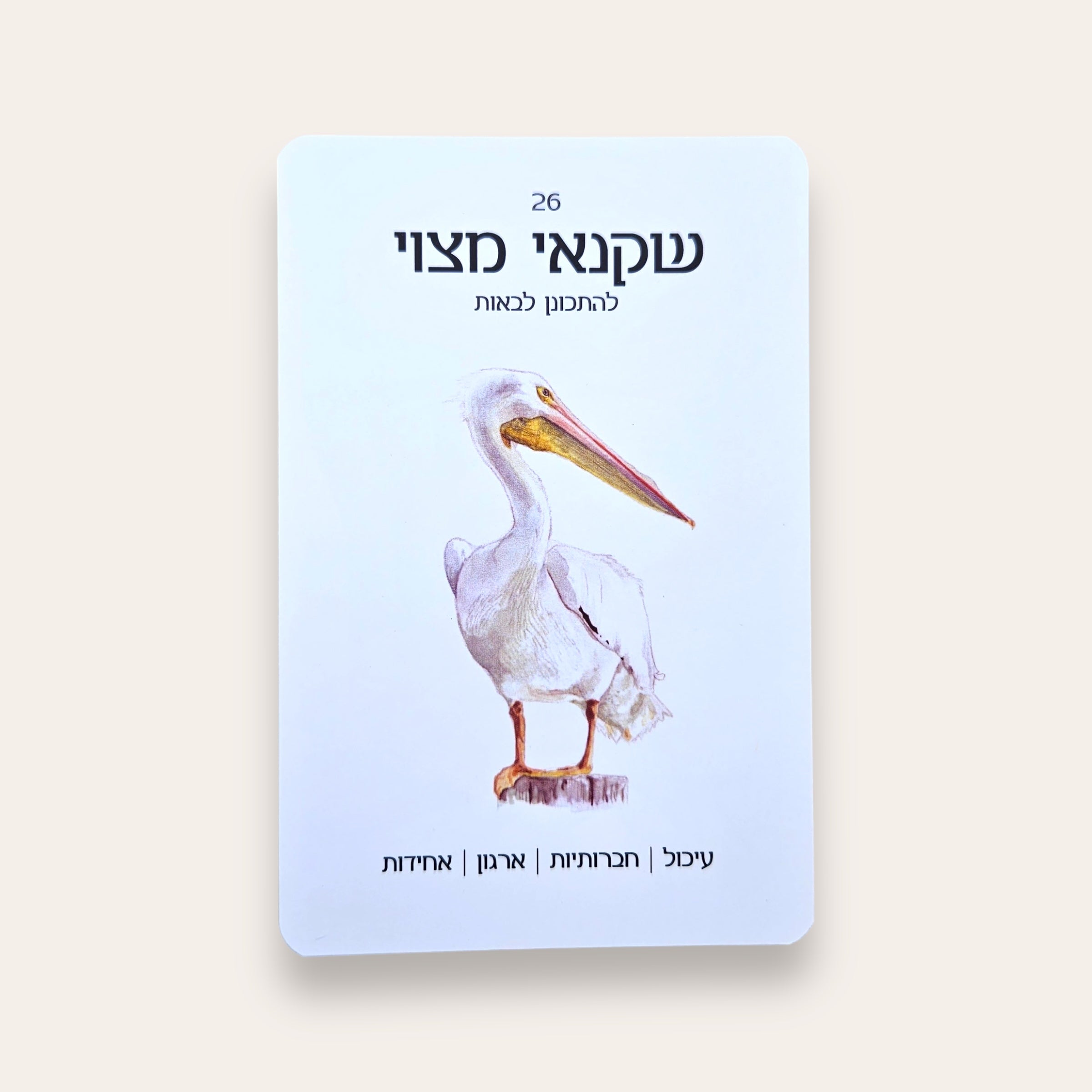 קלפים וספר טוטם הציפורים של ארץ ישראל