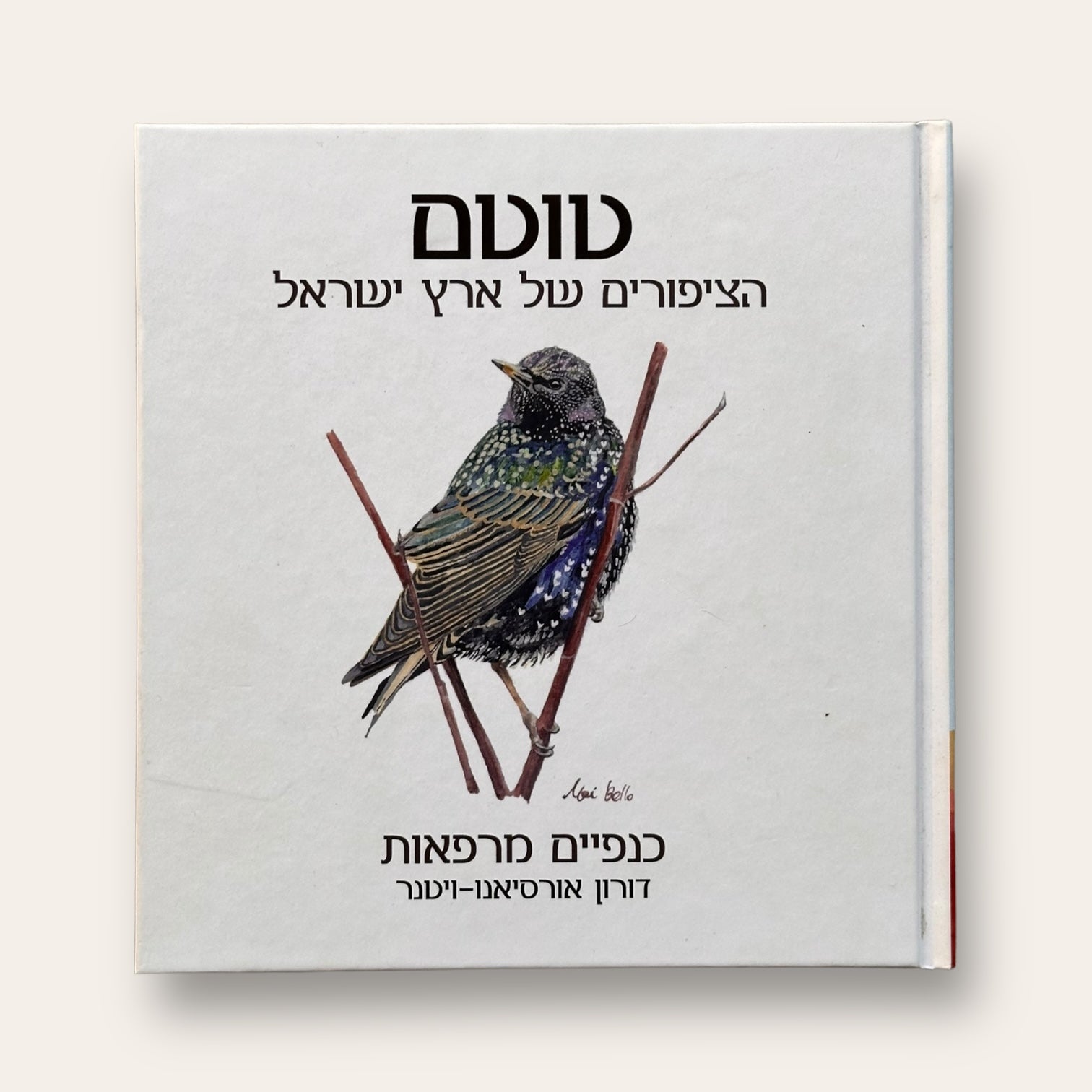 קלפים וספר טוטם הציפורים של ארץ ישראל