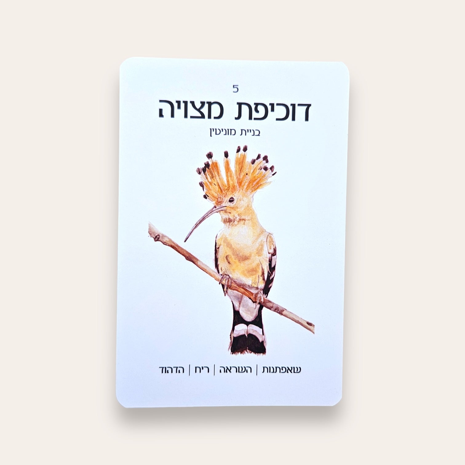 קלפים וספר טוטם הציפורים של ארץ ישראל