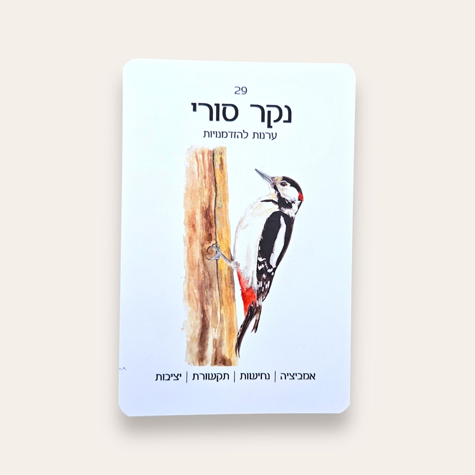 קלפים וספר טוטם הציפורים של ארץ ישראל